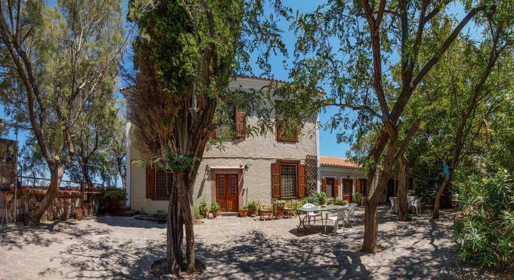 Lela Kaptani Eftalou Olive Grove Mithimna Bagian luar foto