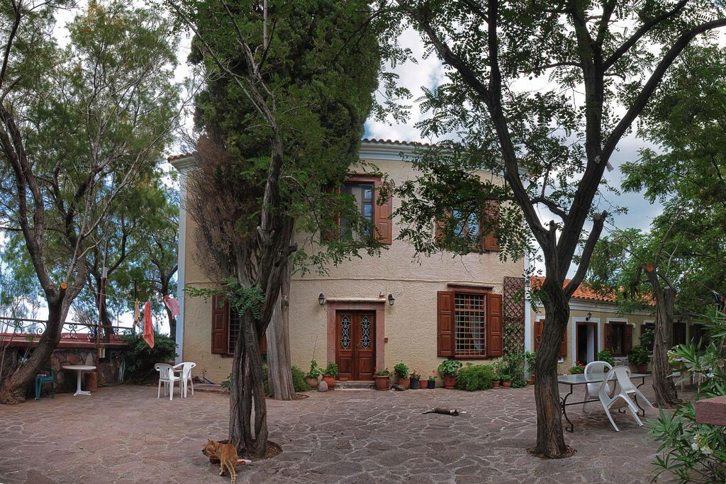 Lela Kaptani Eftalou Olive Grove Mithimna Bagian luar foto