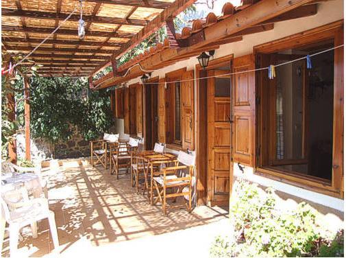 Lela Kaptani Eftalou Olive Grove Mithimna Bagian luar foto